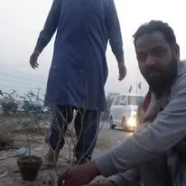 Green Seekers Activity